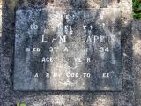 image of grave number 205812